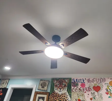 Ceiling fan replacement with clean wiring